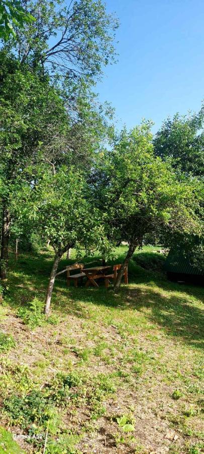 Etno Selo -Sapat- Villa Savnik Ngoại thất bức ảnh
